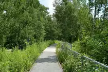Mein 1234. Bild auf BB zeigt einen Weg auf dem Gekände der Zeche Zollverein. Hier wurden statt die Gleise rauszureißen und den Weg zu bauen einfach nur Sand und Kies zwischen die Schienen geschüttet und schon hat man ganz billig einen guten Weg.

Zeche Zollverein 26.06.2016