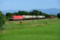 Absolut üblich für den späteren Nachmittag ist ein gemischter Güterzug aus Salzburg Gnigl nach München Nord. Am 12. Juli 2013 hing dankenswerterweise die blitzblanke 1016 039 davor. Aufnahmeort: Rann bei Großkarolinenfeld.