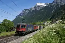 Re 620 069-5 und Re 4/4 II 11338 fahren am 21.05.2016 mit einem Containerzug von Erstfeld Richtung Süden, aufgenommen bei Silenen.