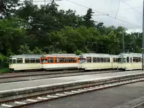 VGF Straßenbahnparade mit L-Wagen,M-Wagen,N-Wagen und O-Wagen am 25.06.16 bei der Stadion Haltestelle. Die Anlage wurde für dieses Event gesperrt und mann konnte auf den Gleisen Fotos machen