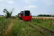 Nach �ber 20 Jahren Dornr�schenschlaf steht Lok 210 der Braunschweigischen Kohlenbergwerks AG f�r den Verein Kohlebahnen im Dienst. Hier hielt sie am 25.06.2016 mit einem Sonderzug am Haltepunkt Wintersdorf.