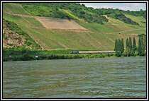 Am Bopparder Damm rollt 101 014 mit einem InterCity Richtung S�den. Aufgenommen im Sommer 2006.