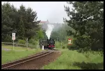 99787 gibt vor Erreichen des Übergangs in Ober Olbersdorf am 24.5.2016 um 15.30 Uhr auf der Fahrt von Zittau nach Bertsdorf einen Achtungspfiff ab!