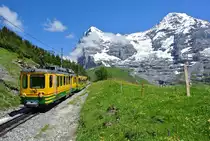 BDeh 4/4 Nr. 123 zwischen Wengernalp und kleine Scheidegg, 04.07.2016.

