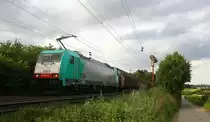 Die Cobra 2829 kommt aus Richtung Aachen-West und fährt die Gemmenicher-Rampe hoch mit einem Güterzug aus Köln-Gremberg(D) nach Antwerpen-Noord(B)  und fährt in Richtung Montzen/Belgien. 
Aufgenommen an der Montzenroute am Gemmenicher-Weg. 
Am Abend vom 11.7.2016.