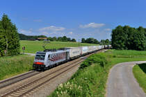 186 284 mit DGS 41857 am 07.07.2016 bei Vogl. 