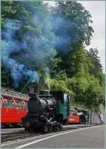 Da die BRB Dampfloks die Züge immer Kessel voraus Bergwärts schieben, verbergen sie meist ihr schönes  Gesicht ; hier hatte ich die Gelegenheit, die kohlebefeuerte H 2/3 N° 6 (Baujahr 1933) bei einer Rangierfahrt in Brienz von vorne fotografieren zu können. 
8. Juli 2016
