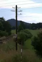 ein verbliebener Fernsprechleitungsmast an der Strecke Ceska Kamenice-Kamenicky Senov
02.07.2016 11;30 Uhr.