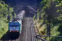 Die Cobra 2834  kommt aus dem Gemmenicher-Tunnel raus mit einem Ölzug aus Antwerpen-Petrol(B) nach Heilbronn(D)  und fährt nach Aachen-West und rollt die Gemmenicher-Rampe herunter nach Aachen-West. Aufgenommen in Reinartzkehl auf der Montzenroute. 
Bei Sommerwetter am Abend vom 14.7.2016.
