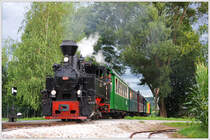Kurz nach der Ankunft des Flascherlzuges am Stainzer Bahnhof kam dann doch, allerdings zu spät, am 17.7.2016 die Sonne heraus.