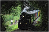 Es hat fast den Anschein, als würde der Stainzer Flascherlzug in einen Tunnel einfahren. Kraubath am 17.7.2016.