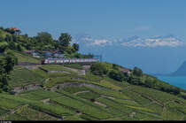 IC 2000 als IC St. Gallen - Genève Aéroport am 16. Juli 2016 bei Grandvaux.