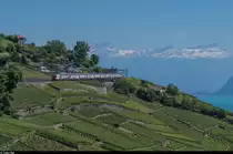 IC 2000 als IC St. Gallen - Genève Aéroport am 16. Juli 2016 bei Grandvaux.