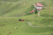 BRB H 2/3 Nr. 2 schnaubt kohlenbefeuert und schiebt den Personenvorstellwagen B1 bergwärts durch die Chüemaad. Tatsächlich tummeln sich da viele  Kühe in der Matte ... Aufnahme während Wanderung am 5. Juli 2016