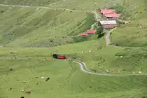 BRB H 2/3 Nr. 2 schnaubt kohlenbefeuert und schiebt den Personenvorstellwagen B1 bergwärts durch die Chüemaad. Tatsächlich tummeln sich da viele  Kühe in der Matte ... Aufnahme während Wanderung am 5. Juli 2016