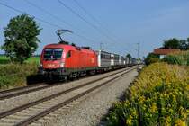 Von Bremen Grolland nach Verona ist der Laufweg von KT 42175, der mit Aufliegern der Speditionen Terratrans und Paneuropa beladen ist. Ab München Ost Rangierbahnhof übernimmt ein ÖBB Taurus den Zug und bespannt ihn bis zum Brenner. Am 24. August 2013 oblag diese Aufgabe der 1116.076, hier aufgenommen bei Hilperting.