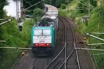 Die Cobra 2841 kommt die Gemmenicher-Rampe hochgefahren aus Aachen-West mit einem  Containerzug aus Novara(I) nach Genk-Zuid-Haven(B) und fährt gleich in den Gemmenicher-Tunnel hinein und fährt in Richtung Montzen/Vise(B). 
Aufgenommen in Reinartzkehl an der Montzenroute.
Am Nachmittag vom 17.7.2016.