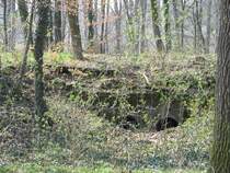 Am �stlichen Muldenufer in Grimma findet man den Bahndamm der Muldentalbahn noch. Unter anderem sind noch durchbr�che vorhanden. Hier liegt sogar noch eine Holzschwelle... oder liegt sie nach dem Hochwasser 2002 neuerma�en hier? 01.04.07