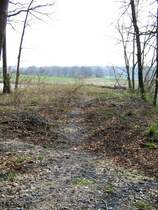 Der Nordkopf der Eisenbahn-Muldenbr�cke in Grimma. Gegen�ber fehlt das Widerlager daf�r sieht man den Radweg, der als Eisenbahnwanderweg entlang der ehemaligen Muldenbahn f�hrt. 01.04.07