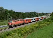 Die blutorange 1142 567 war am Nachmittag des 29. Juli 206 mit einer CityShuttle Garnitur vor Spielfeld-Straß nach Graz Hauptbahnhof unterwegs, und wurde von mir bei Ehrenhausen fotografiert.
