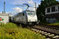 186 456-0 fährt hier gerade aus Boisheim aus, nach dem er einen RE13 hat passieren lassen.
Boisheim 29.7.2016