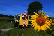Ein kleiner Heuhüpfer blieb vor meiner Linse sitzen als SKL X626.205 richtung Preding vorbeirollt. 29.07.2016