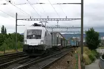 ES 64 U2-100 unweit der Eisenbahnbrücke über den Rhein, die sich südlich des Bahnhofs Basel Badischer Bahnhof befindet.
Aufnahmedatum: 18.07.2009