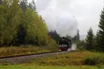 99 6001 mit IG HSB-Sonderzug am 18.10.2015 bei einer Scheinanfahrt, kurz vor dem Bahnübergang Alte Heerstraße, zwischen Drei Annen Hohne und Elend. (Bild 2)