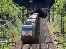 Die Cobra 2836 kommt aus dem Gemmenicher-Tunnel raus mit einem Containerzug aus Genk-Zuid-Haven(B) nach Novara(I) und fährt nach Aachen-West und rollt die Gemmenicher-Rampe herunter nach Aachen-West. 
Aufgenommen in Reinartzkehl auf der Montzenroute. 
Bei Sommerwetter am Nachmittag vom 19.7.2016.