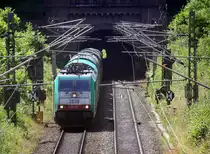 Die Cobra 2838 kommt aus dem Gemmenicher-Tunnel raus mit einem Coilzug aus Kinkempois(B) nach Pirna(D)  und fährt nach Aachen-West und rollt die Gemmenicher-Rampe herunter nach Aachen-West. 
Aufgenommen in Reinartzkehl auf der Montzenroute. 
Bei Sommerwetter am Nachmittag vom 19.7.2016.