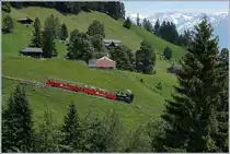 Die BRB H 2/3 N° 16 mit Zug 10 auf Talfahrt kurz nach Planalp.
7. Juli 2016
