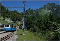 Der Bhe 2/4 207 erreicht Caux. Rechts im Bild der Rochers de Naye, Ausgansgstation des Bhe 2/4 207.
3. Juli 2016