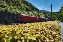 1116 265-0 fährt am Zugschluss der S1 5619 (Lindau Hbf - Bludenz), aus dem Bahnhof Feldkirch aus.
Aufgenommen am 18.7.2016.