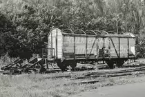 Bierwagen des Kulmbacher Mönchshof-Bräus. Der Wagen befindet sich in Privatbesitz und steht auf dem Gelände des Bw Selb, das heute den Modell- und Eisenbahnclubs Selb-Rehau e.V. beherbergt. 21.05.2016
Analogfoto auf Ilford XP2 (400 ASA), Nikon F801, 50mm, f11, 1/500
