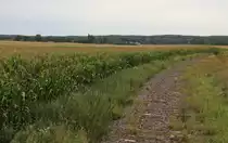 5.8.16 Strecke Templin - Prenzlau. Ganz links im Hintergrund Empfangsgebäude Bf. Beenz