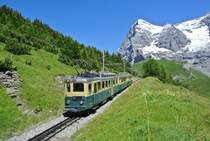 BDhe 4/4 Nr. 110 zwischen kleine Scheidegg und Wengernalp, 19.07.2016. 

