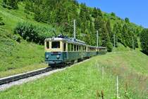 BDhe 4/4 Nr. 110 zwischen kleine Scheidegg und Wengernalp, 19.07.2016.

