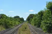 Nur noch die Schwellen liegen in Nedlitz. 1992 wurde die Strecke ab Nedlitz bis Güterglück 2 Gleisig ausgebaut und 1 Jahr später elektrifiziert. Nur knapp 10 Jahre später wurde die Strecke stillgelegt und wird teilweise zurück gebaut. 

Nedlitz 20.07.2016