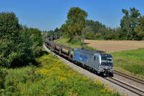 193 810 mit DGS 47161 am 24.08.2016 bei Langenisarhofen. 
