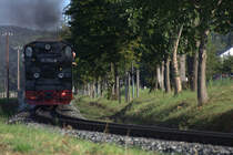 Achtung, scharfe Linkskurve, zwischen Sellin Ost und Baabe.24.08.2016 09:11 Uhr.
99 1784-0 passiert gerade.