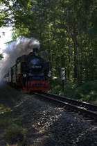 Kurz hinter Göhren in der Baaber Heide, 99 1781-6 unterwegs Richtung Baabe.17.08.2016  09:57 Uhr.