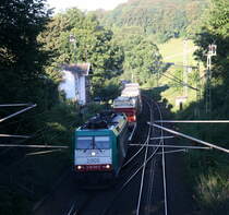 2905 von Alpha Trains kommt die Gemmenicher-Rampe hochgefahren aus Aachen-West mit einem Containerzug aus Gallarate(I) nach Antwerpen-Oorderen(B) und fährt gleich in den Gemmenicher-Tunnel hinein und fährt in Richtung Montzen/Vise(B). Aufgenommen in Reinartzkehl an der Montzenroute. 
Bei Sommerwetter am 25.8.2016.