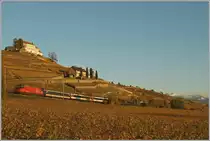 Eine SBB Re 460 fährt mit ihrem IR Brig - Genève bei Lutry durch das herbstliche Lavaux.
11. Nov. 2013