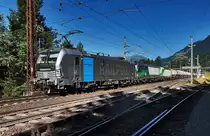 Als wir eigentlich schon beim Gehen waren, überraschte uns noch diese Vectron-Dreifachtraktion. Eigentlich wird dieser, von der SETG betriebene, Kesselwagenzug nach Jesenice, nur mit zwei Vectron, in den Farben der SETG, bespannt.
An diesem Tag bespannten den Zug jedoch die RAILPOOL 193 801-8 (mit Zugzielanzeige), die ELL 193 248-2 sowie die RAILPOOL 193 814-1 in der SETG Lackierung.

Aufgenommen am 27.8.2016, bei der Durchfahrt im Bahnhof Penk.