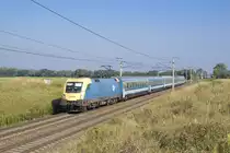 Am 28. August 2016 ist 470 005 mit dem EC 345  Avala  von Wien Hauptbahnhof über Budapest Keleti pályaudvar nach Beograd unterwegs und konnte nahe Gramatneusiedl aufgenommen werden. 
