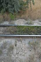 Die Schwellen der Sodabahn sind zum Teil schon mit einer Dicken Schicht Soda bedeckt. Und im Gleisbett gedeiht bereits allerlei Grünzeug.

Staßfurt 21.07.2016