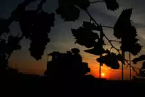 Für einige Zeit wohl meine letzte Bilderserie der Stainzer Lokalbahn,....
Am gestrigen Morgen hatte ich das Glück einen strahlenden Sonnenschein auf der Bundesstrasse 76 bei Stainz erleben zu dürfen. 
An diesem Kreisverkehr wirbt eine ehemalige Böhler Dampflokomotive der Reihe 100 für den Stainzer Flascherlzug. Auf einem schräg stehenden Gleisrost bewegt sie sich scheinbar dem Himmel entgegen. 10.09.2016 