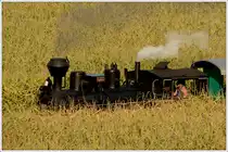 Stainzer Flascherlzug am 11.9.2016 kurz vor Kraubath.