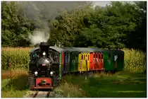 Stainzer Flascherlzug am 11.9.2016 kurz vor Herbersdorf.