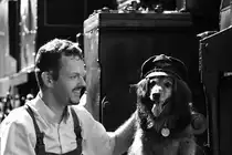 Wahrlich der Beste Freund des Menschen kann ein Vierbeiniger Wuffi sein. 
Der süße Begleiter eines Hobbyfilmers gab sich ein Stelldichein zum Fotoshooting mit unserem Karl Heinz , den ich natürlich um Erlaubnis zum veröffentlichen der Bilder gefragt habe. Köflach am 10.September 2016 